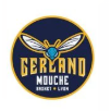 AL GERLAND MOUCHE LYON